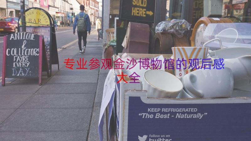 专业参观金沙博物馆的观后感大全（16篇）