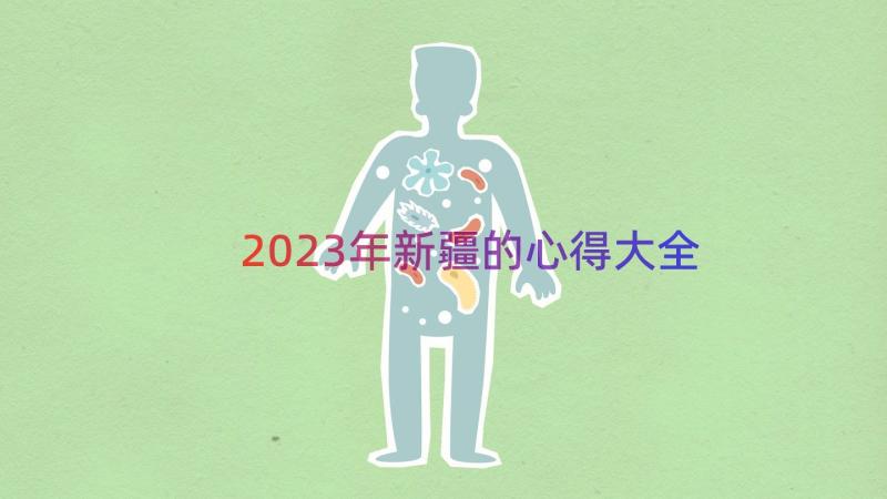 2023年新疆的心得大全（14篇）