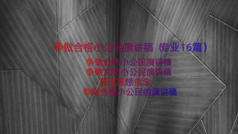 争做合格小公民演讲稿（专业16篇）