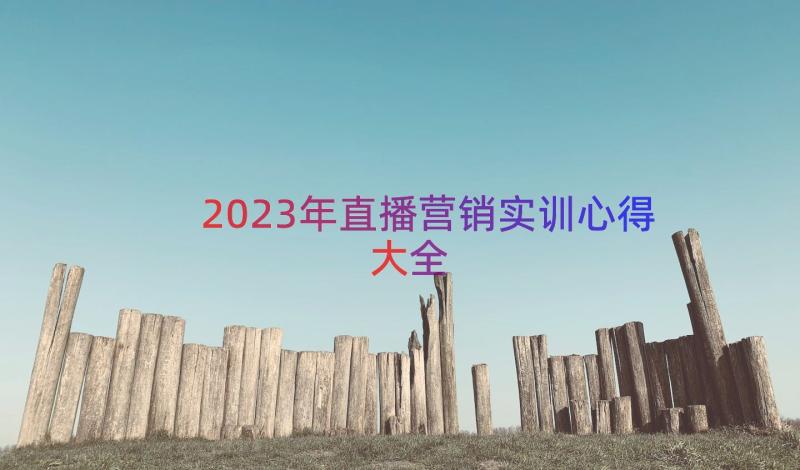 2023年直播营销实训心得大全（12篇）