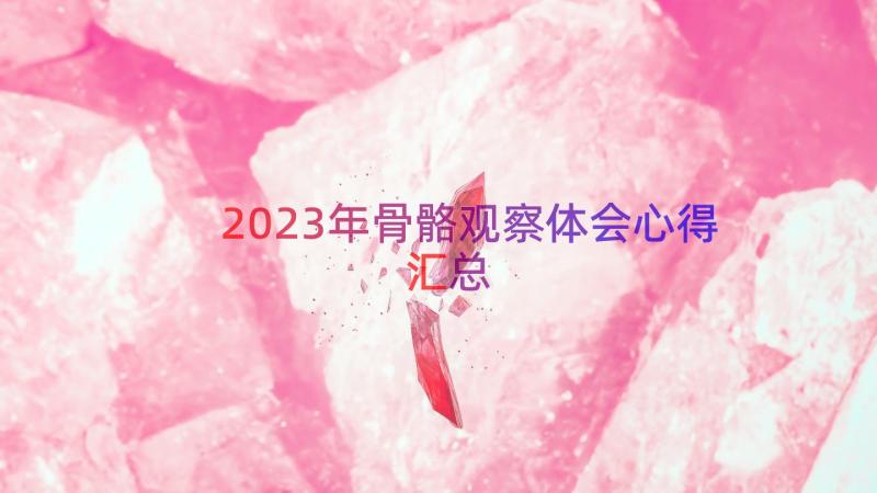 2023年骨骼观察体会心得（汇总16篇）