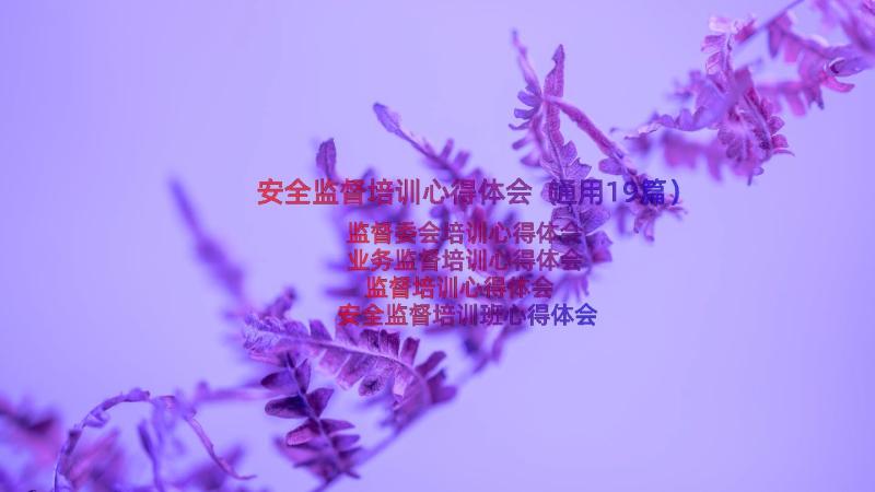 安全监督培训心得体会（通用19篇）