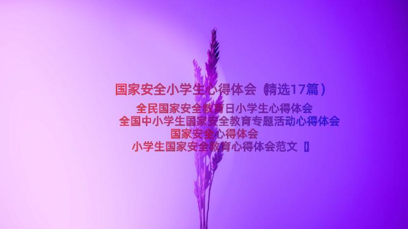 国家安全小学生心得体会（精选17篇）