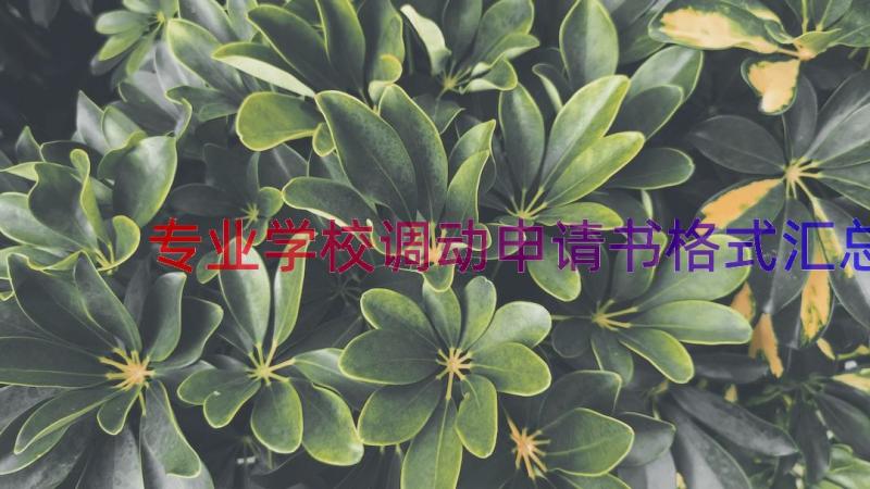 专业学校调动申请书格式（汇总13篇）