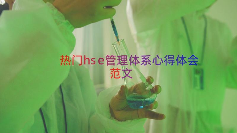 热门hse管理体系心得体会范文（17篇）