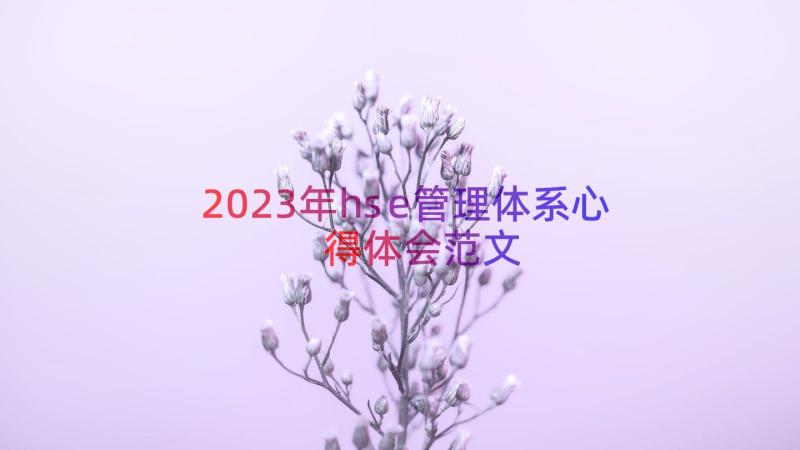 2023年hse管理体系心得体会范文（12篇）