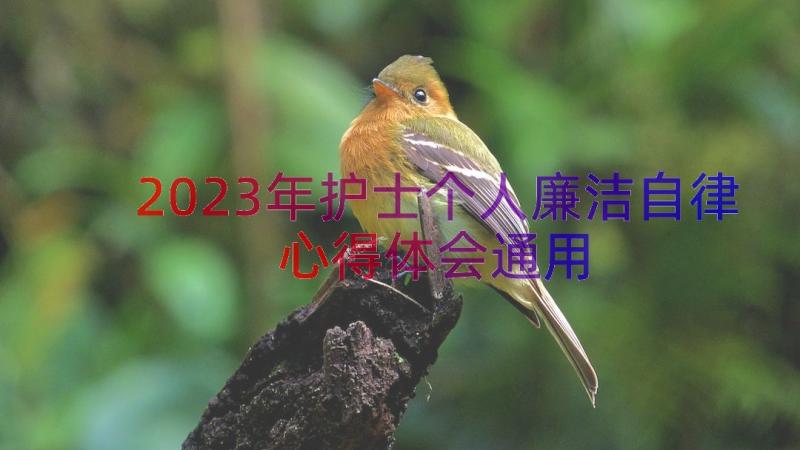 2023年护士个人廉洁自律心得体会（通用16篇）