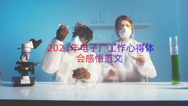 2023年电子厂工作心得体会感悟范文（16篇）