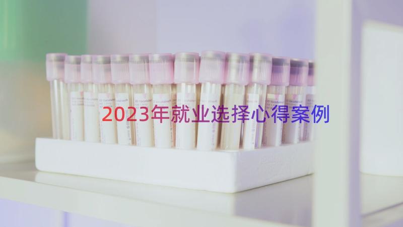 2023年就业选择心得（案例16篇）