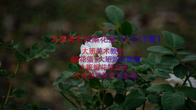 大班美术教案花篮（汇总19篇）