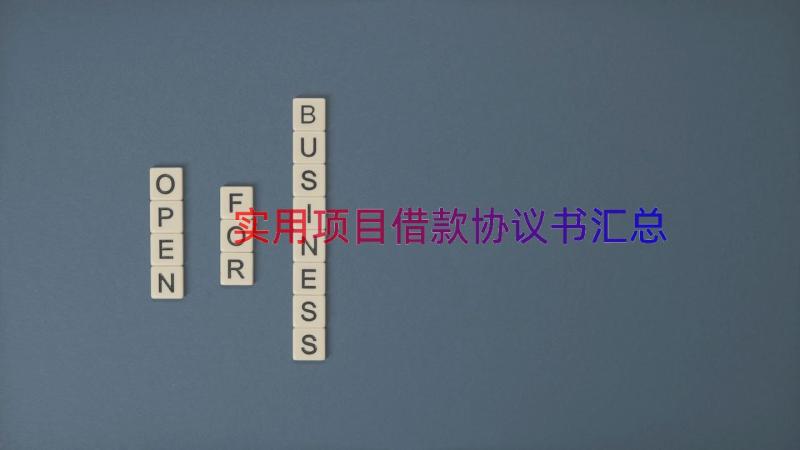 实用项目借款协议书（汇总14篇）