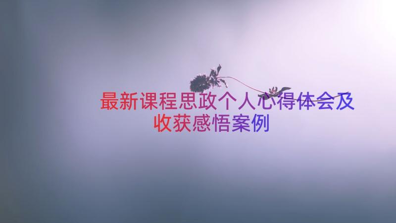 最新课程思政个人心得体会及收获感悟（案例14篇）