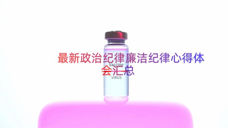 最新政治纪律廉洁纪律心得体会（汇总16篇）