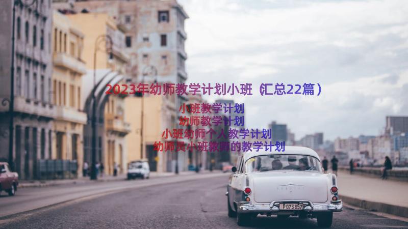 2023年幼师教学计划小班（汇总22篇）