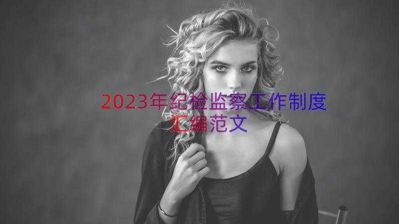 2023年纪检监察工作制度汇编范文（15篇）