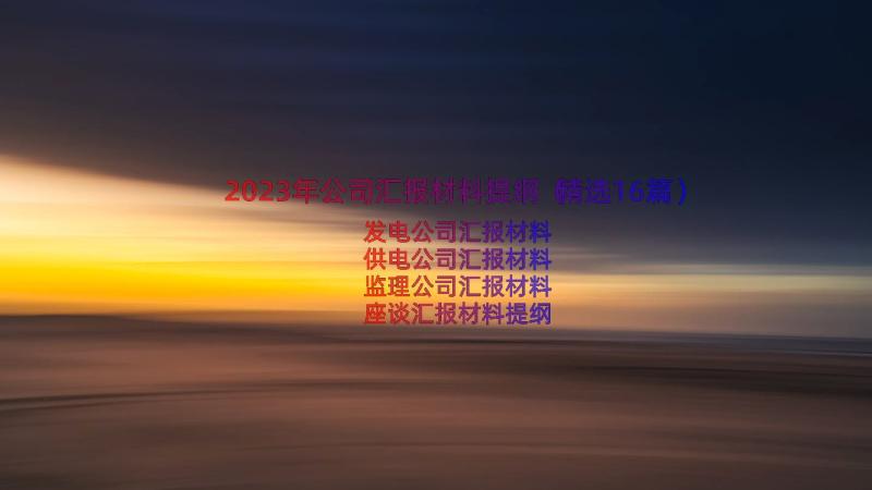 2023年公司汇报材料提纲（精选16篇）