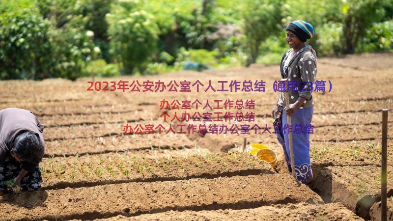 2023年公安办公室个人工作总结（通用23篇）