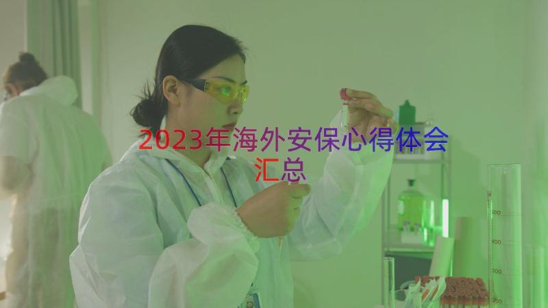 2023年海外安保心得体会（汇总13篇）