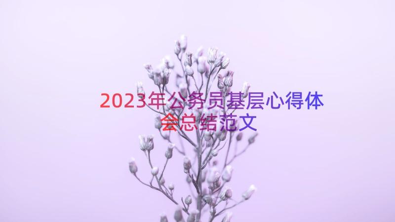 2023年公务员基层心得体会总结范文（15篇）