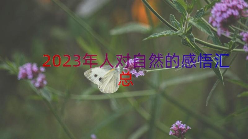 2023年人对自然的感悟（汇总17篇）