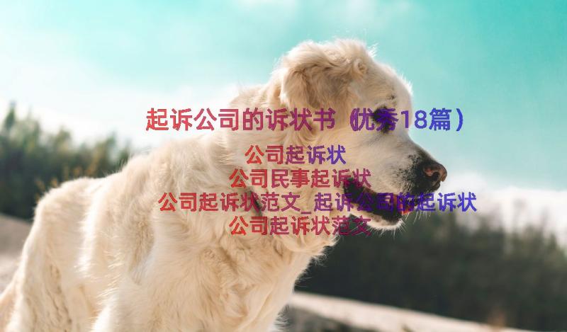 起诉公司的诉状书（优秀18篇）