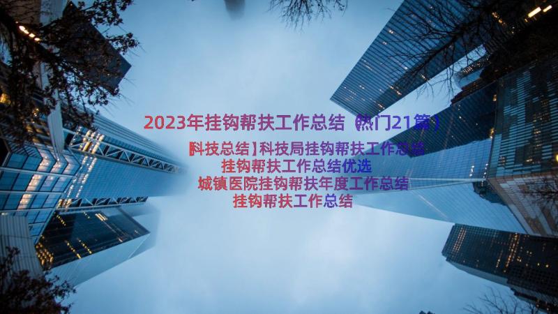 2023年挂钩帮扶工作总结（热门21篇）