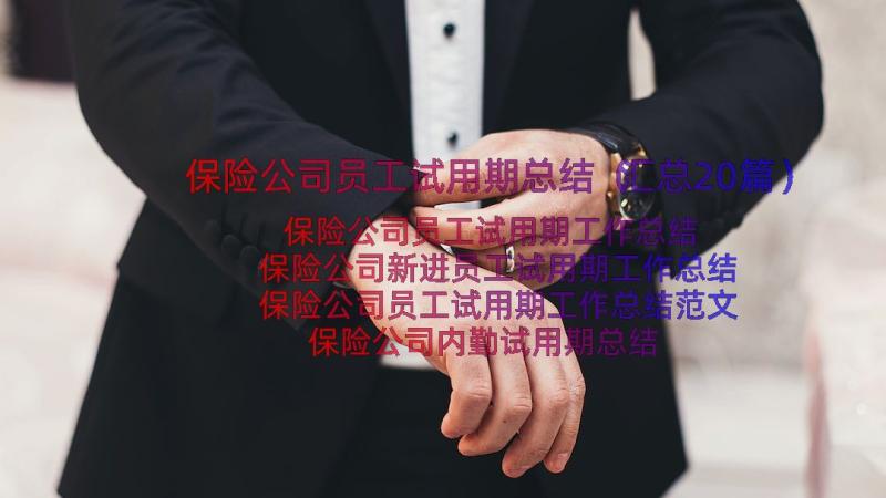 保险公司员工试用期总结（汇总20篇）