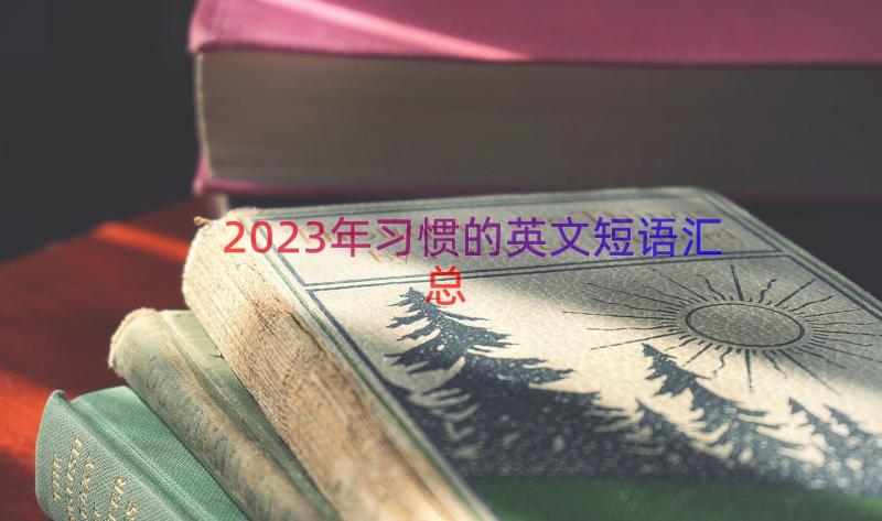 2023年习惯的英文短语（汇总14篇）