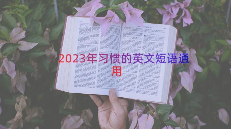 2023年习惯的英文短语（通用17篇）