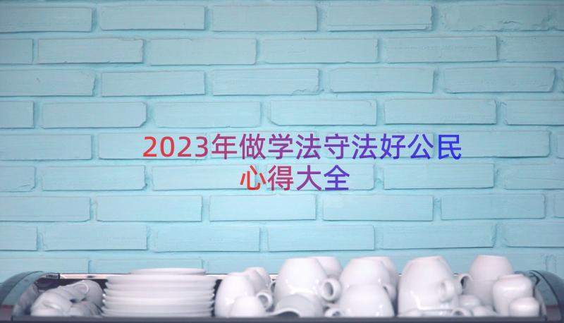 2023年做学法守法好公民心得大全（15篇）