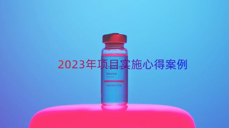 2023年项目实施心得（案例14篇）