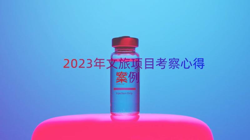 2023年文旅项目考察心得（案例18篇）