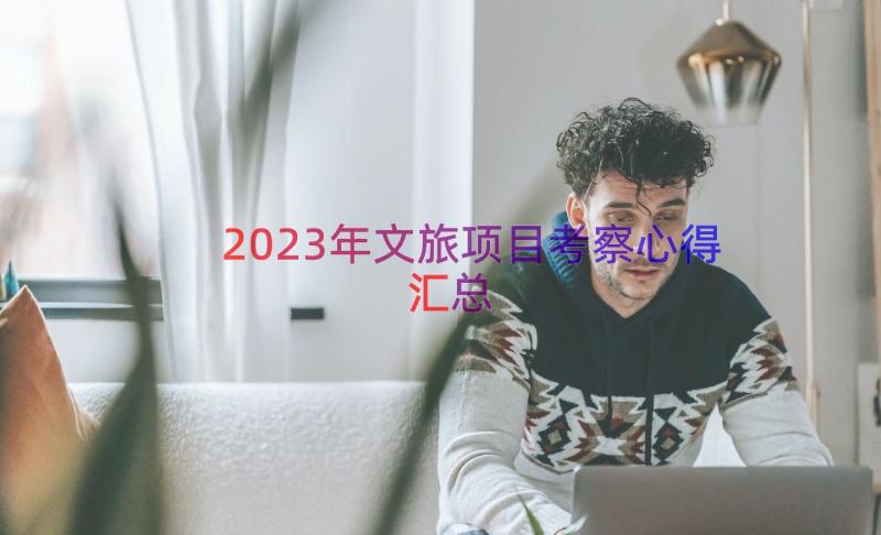 2023年文旅项目考察心得（汇总18篇）