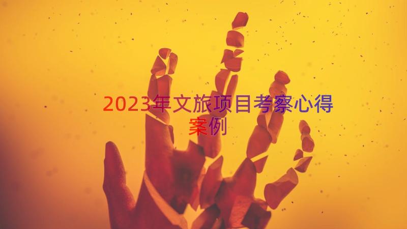 2023年文旅项目考察心得（案例12篇）