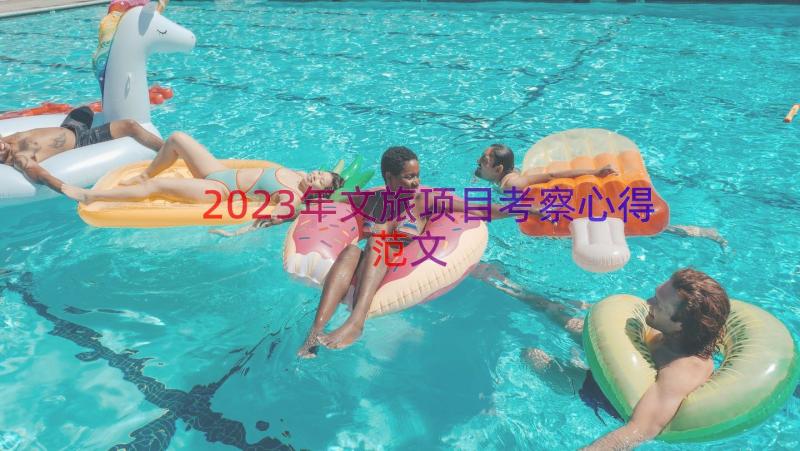 2023年文旅项目考察心得范文（12篇）