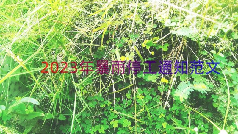 2023年暴雨停工通知范文（15篇）