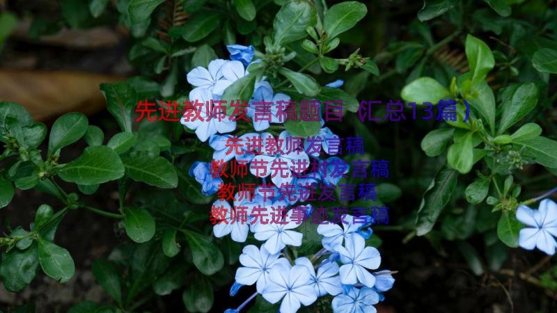 先进教师发言稿题目（汇总13篇）