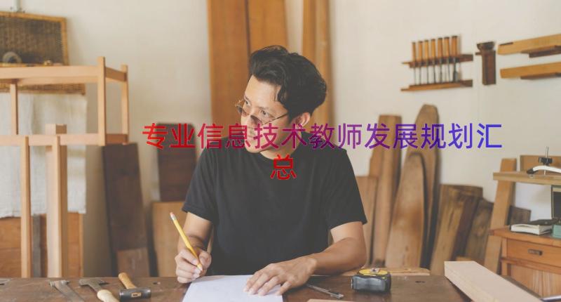 专业信息技术教师发展规划（汇总17篇）