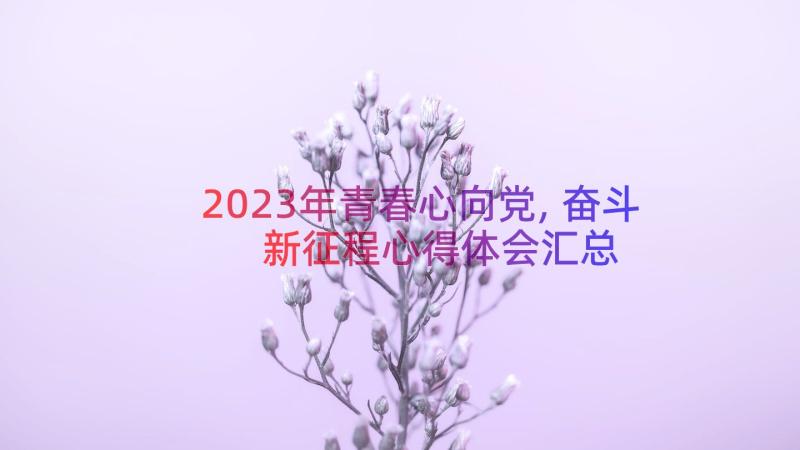 2023年青春心向党,奋斗新征程心得体会（汇总18篇）