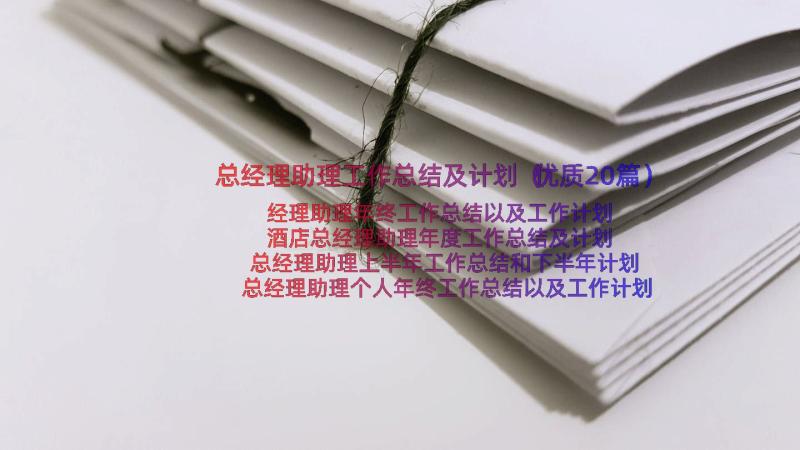 总经理助理工作总结及计划（优质20篇）