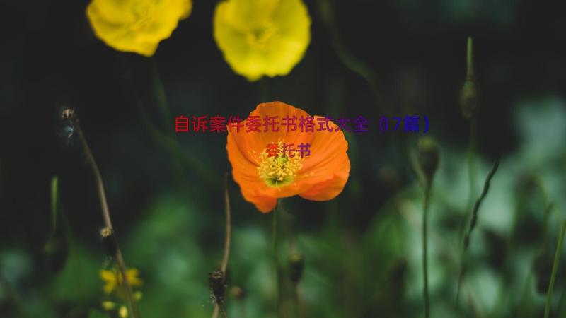 自诉案件委托书格式大全（17篇）