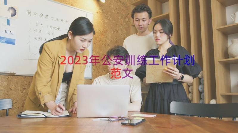 2023年公安训练工作计划范文（12篇）