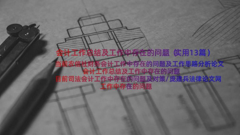 会计工作总结及工作中存在的问题（实用13篇）