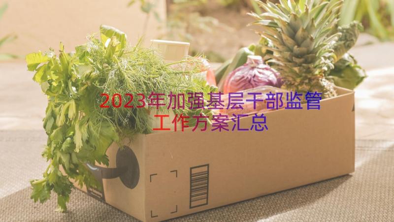 2023年加强基层干部监管工作方案（汇总20篇）