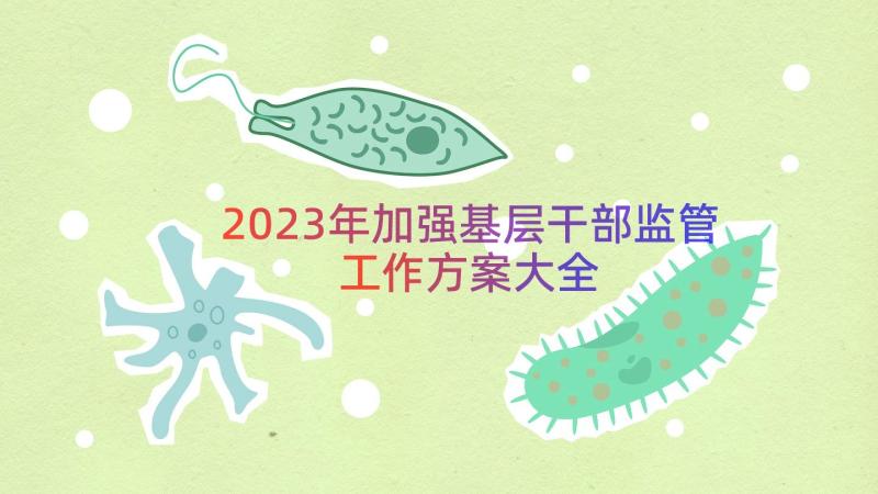 2023年加强基层干部监管工作方案大全（12篇）