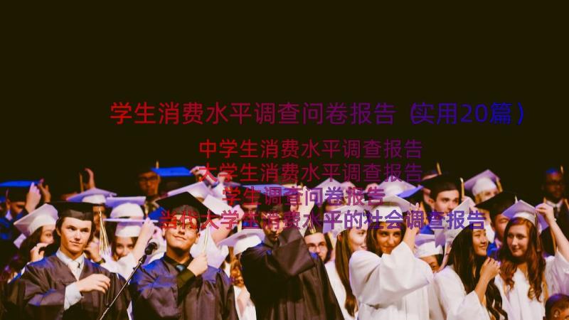 学生消费水平调查问卷报告（实用20篇）