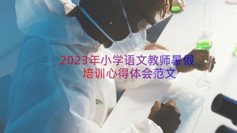 2023年小学语文教师暑假培训心得体会范文（15篇）