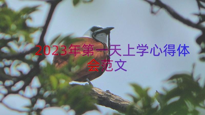 2023年第一天上学心得体会范文（15篇）