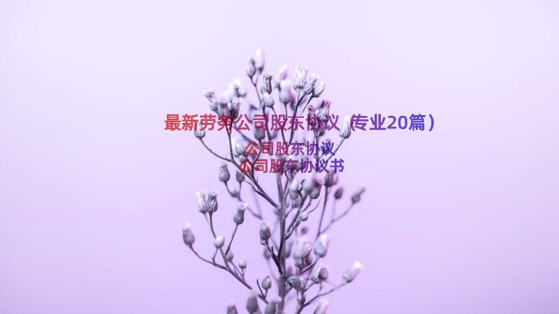 最新劳务公司股东协议（专业20篇）