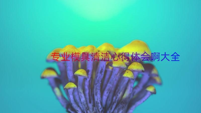 专业模具清洁心得体会啊大全（13篇）